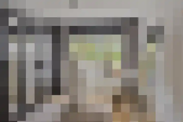 Markeloseweg 53 Goor thumbnail 18