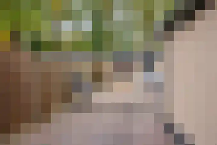 Markeloseweg 53 Goor thumbnail 26