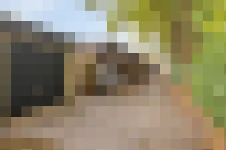 Markeloseweg 53 Goor thumbnail 32