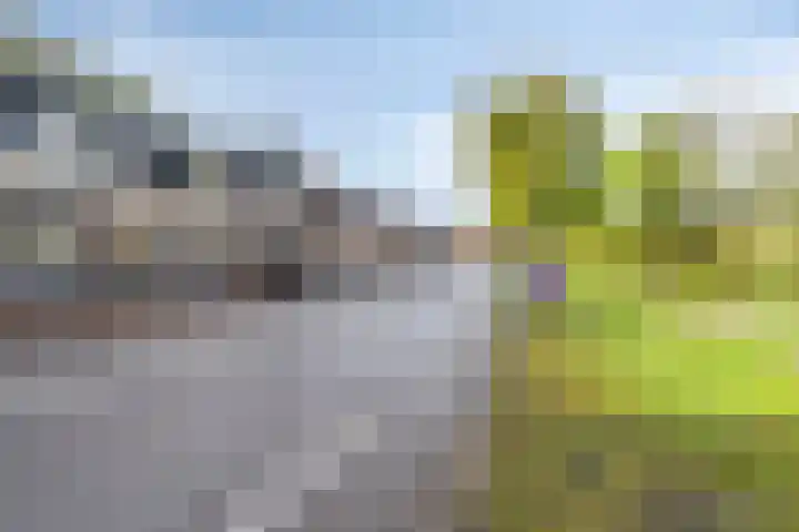 Markeloseweg 53 Goor thumbnail 33