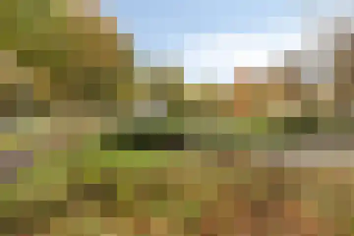 Markeloseweg 53 Goor thumbnail 35