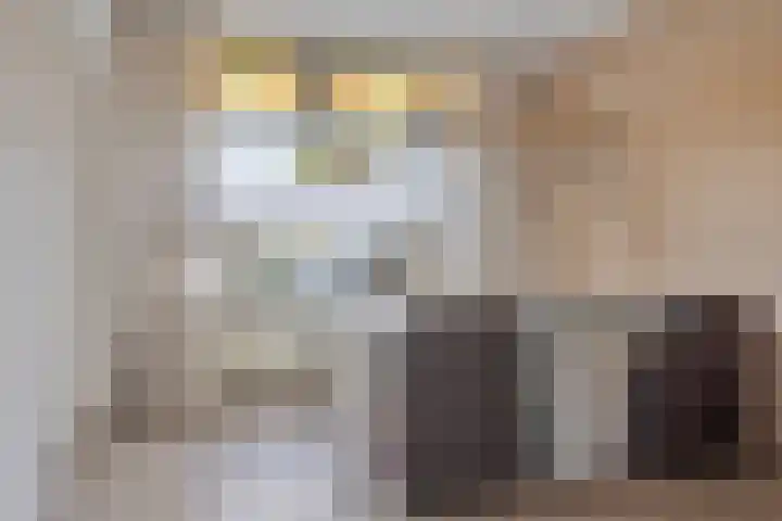 Markeloseweg 53 Goor thumbnail 4