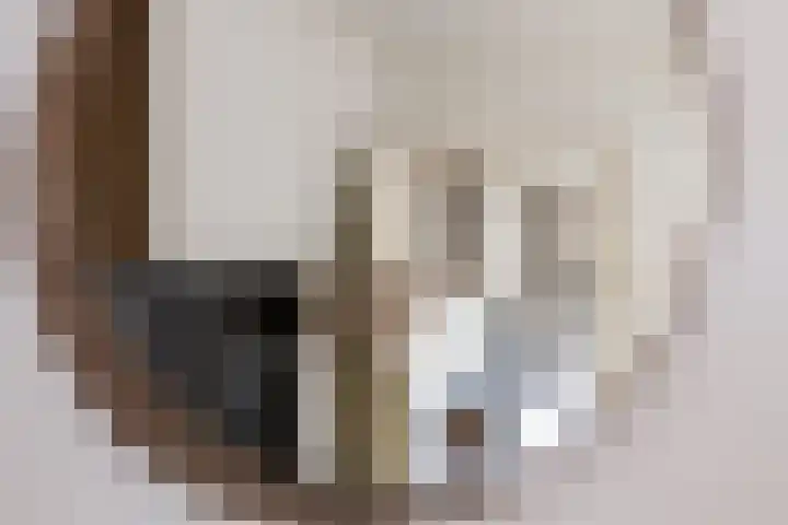 Markeloseweg 53 Goor thumbnail 7