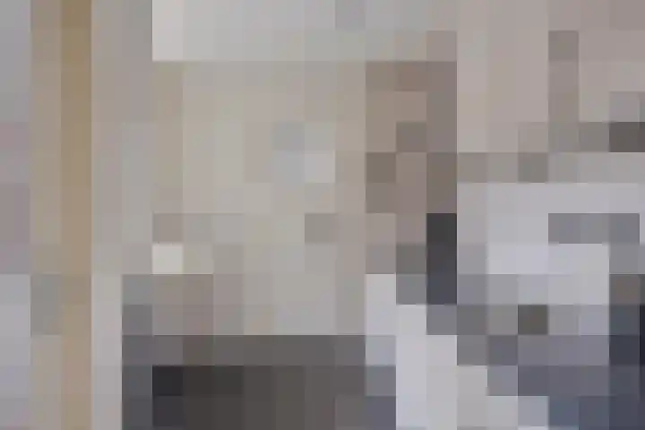 Markeloseweg 53 Goor thumbnail 8