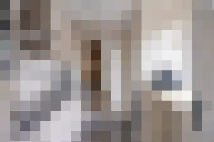Markeloseweg 53 Goor thumbnail 9