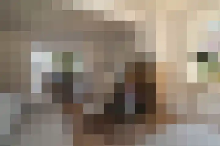 Markeloseweg 61 Rijssen thumbnail 10