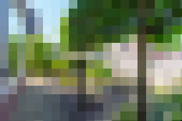 Markeloseweg 61 Rijssen thumbnail 22
