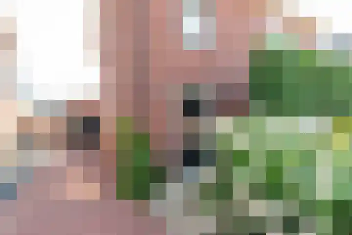 Markeloseweg 61 Rijssen thumbnail 4