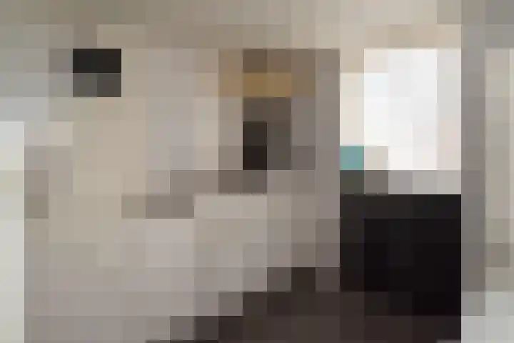 Markeloseweg 61 Rijssen thumbnail 42