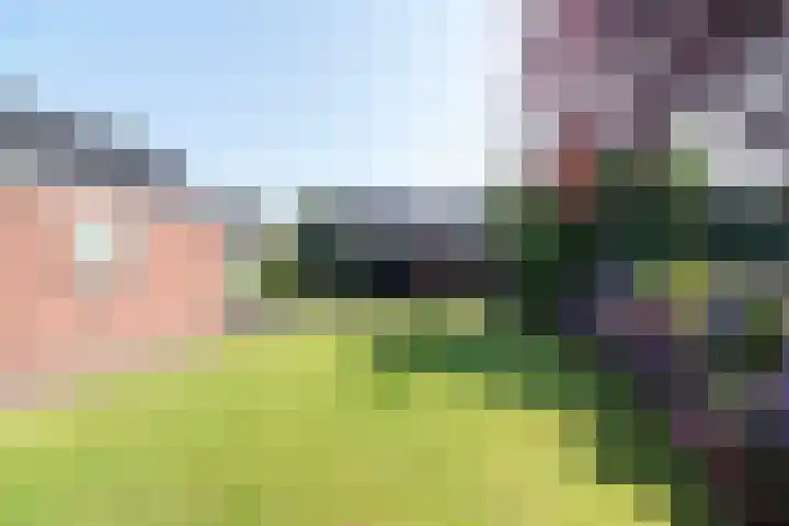 Markeloseweg 61 Rijssen thumbnail 44