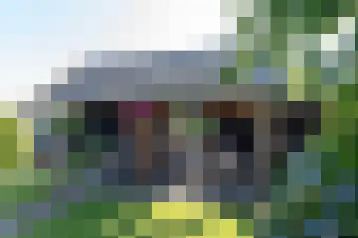 Markeloseweg 61 Rijssen thumbnail 49