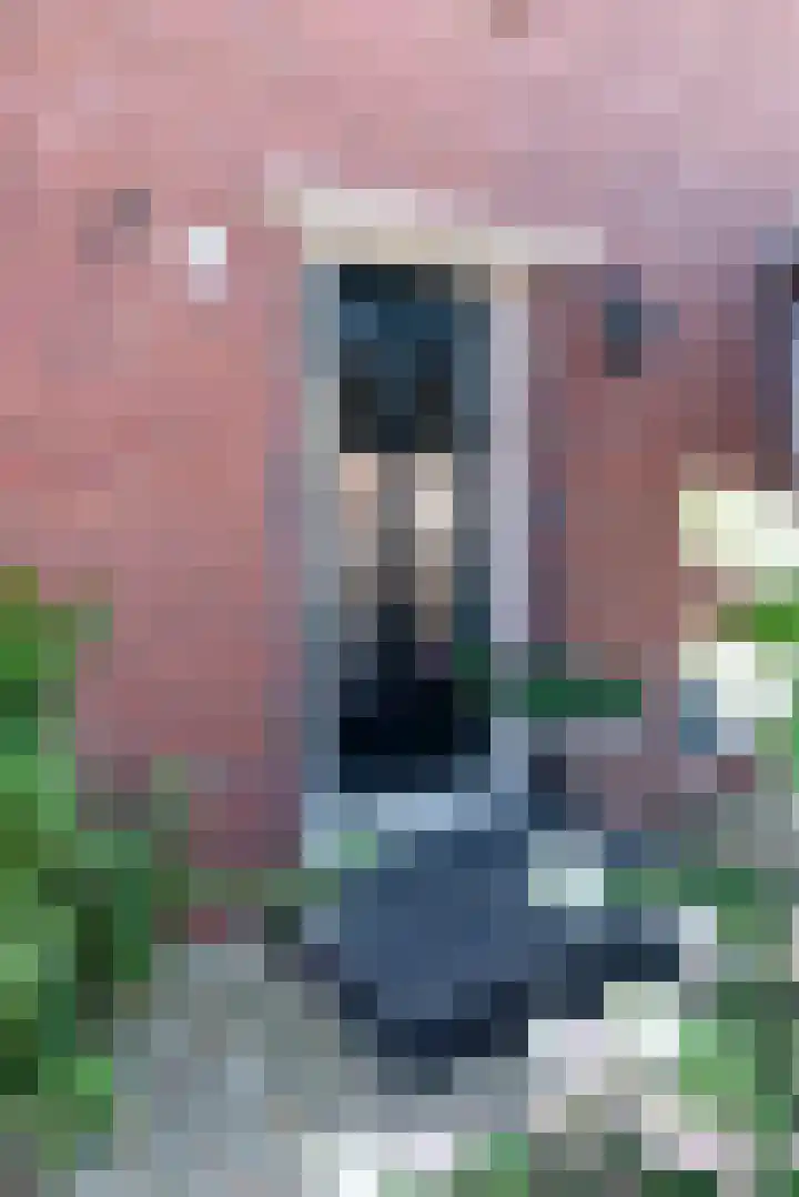 Markeloseweg 61 Rijssen thumbnail 5