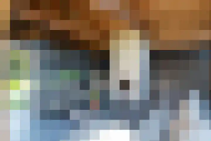 Markeloseweg 61 Rijssen thumbnail 51