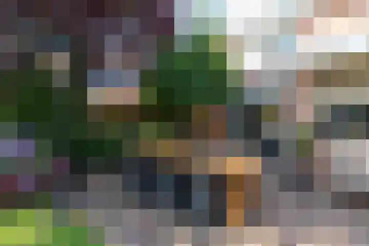 Markeloseweg 61 Rijssen thumbnail 55