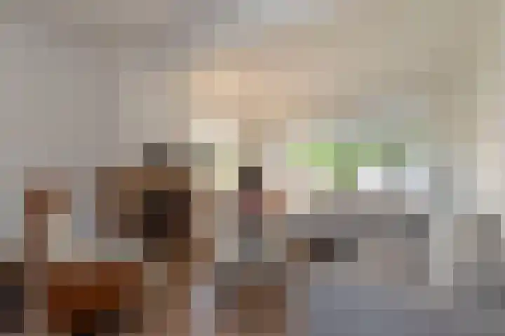 Markeloseweg 61 Rijssen thumbnail 8