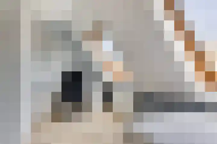 Markelostraat 32 Tilburg thumbnail 19