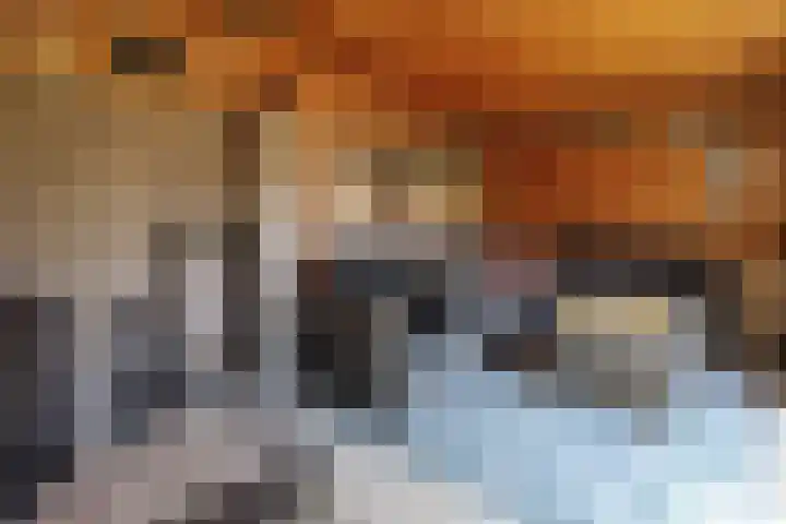 Markelostraat 32 Tilburg thumbnail 37