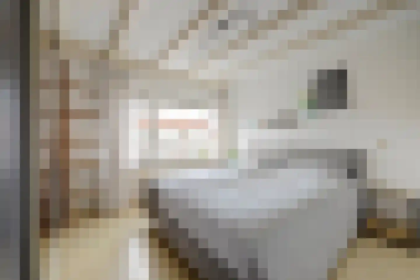 Markenburglaan 12 Geervliet thumbnail 20