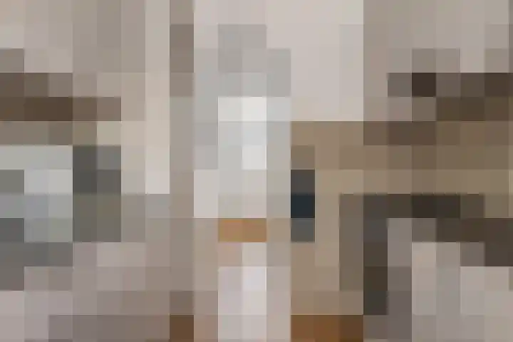Markenburglaan 16 Geervliet thumbnail 12