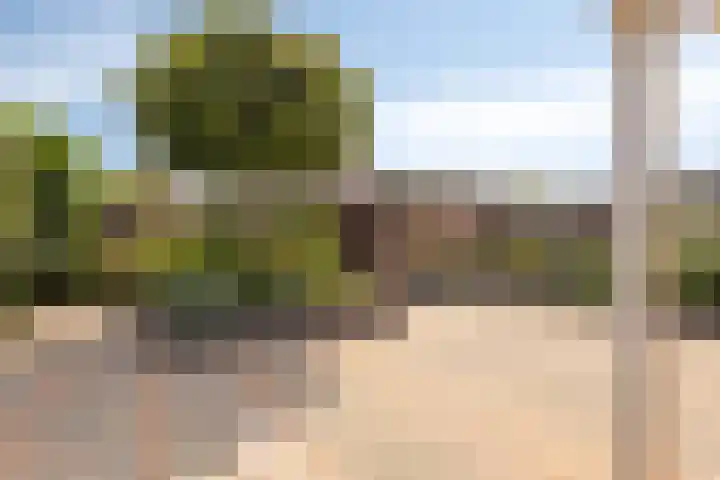 Markenburglaan 16 Geervliet thumbnail 24