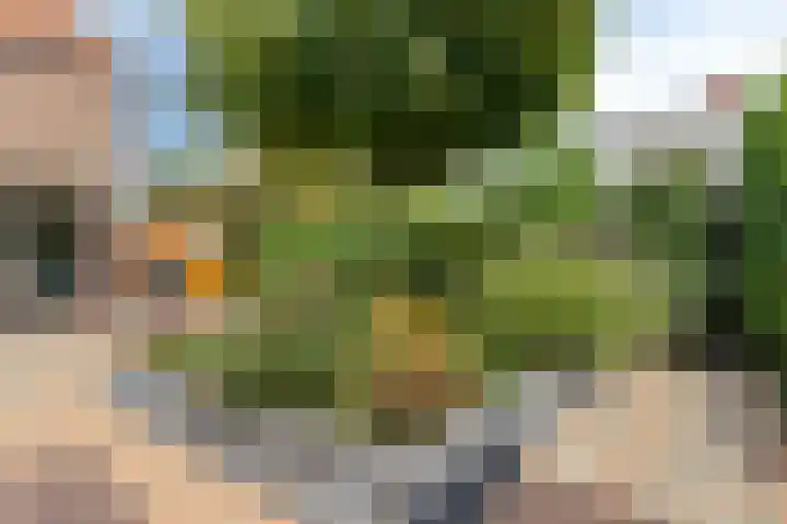 Markenburglaan 16 Geervliet thumbnail 26