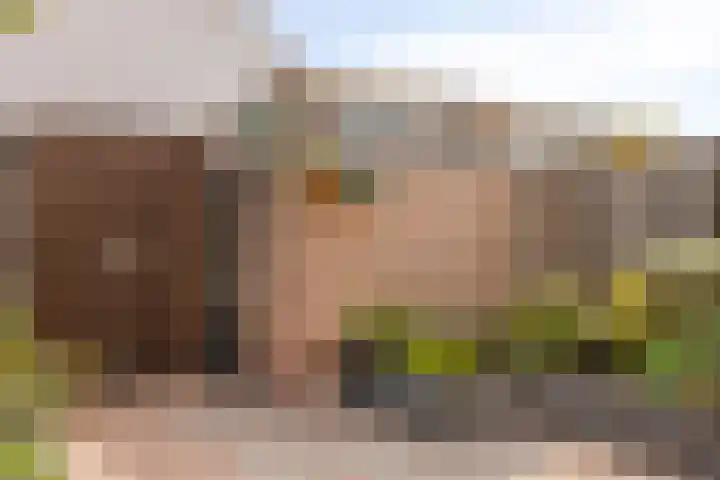 Markenburglaan 16 Geervliet thumbnail 27