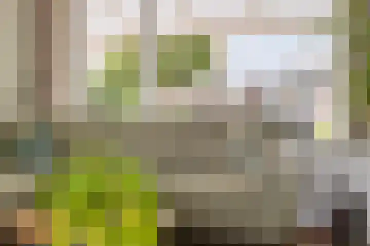 Markenburglaan 16 Geervliet thumbnail 9