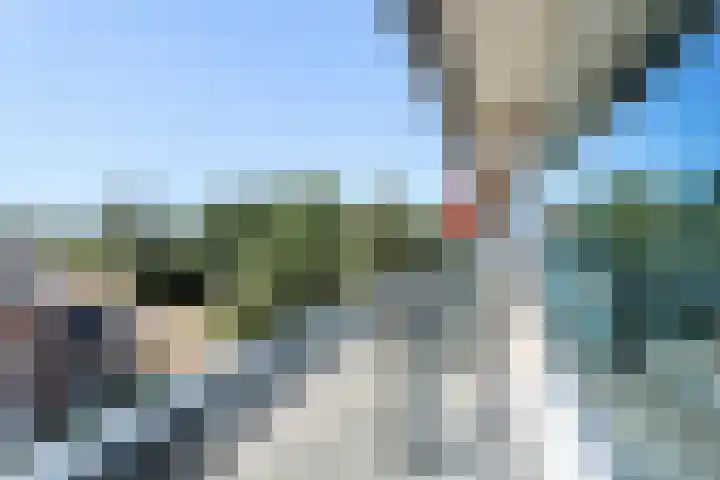 Markendaalseweg 108 Breda thumbnail 20