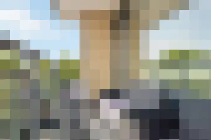 Markendaalseweg 120 Breda thumbnail 19