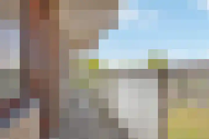 Markendaalseweg 120 Breda thumbnail 21