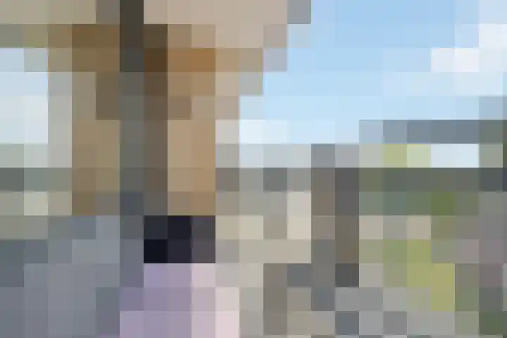 Markendaalseweg 120 Breda thumbnail 5