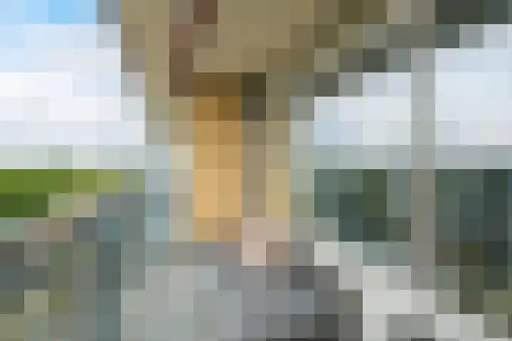 Markendaalseweg 134 Breda thumbnail 21