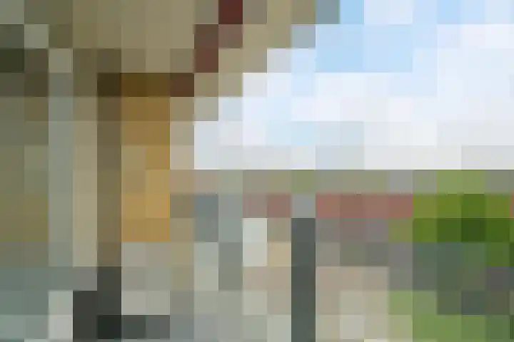 Markendaalseweg 134 Breda thumbnail 4