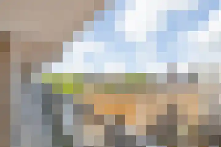 Markendaalseweg 140 Breda thumbnail 21