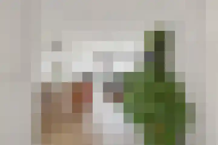 Markendaalseweg 140 Breda thumbnail 25