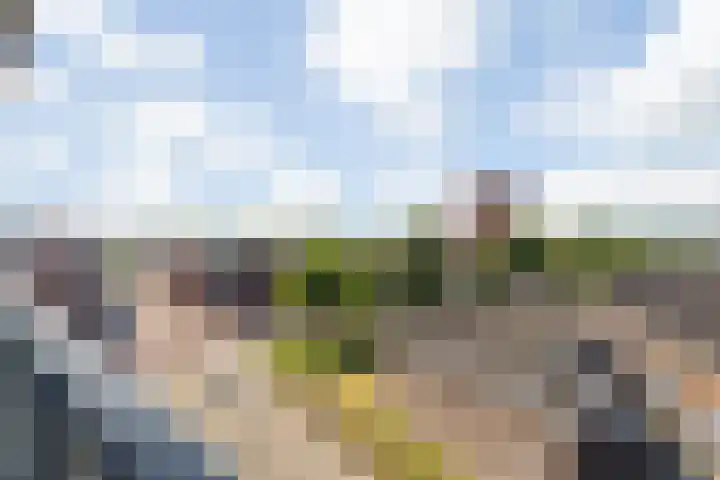 Markendaalseweg 140 Breda thumbnail 60