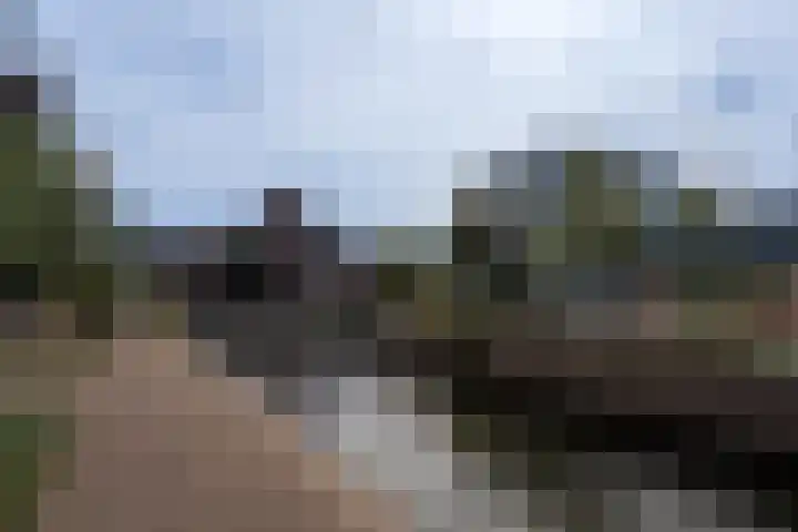 Markendaalseweg 20 A4 Breda thumbnail 25