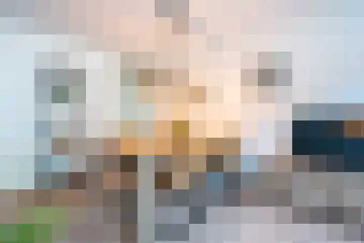 Markendaalseweg 20 A4 Breda thumbnail 9