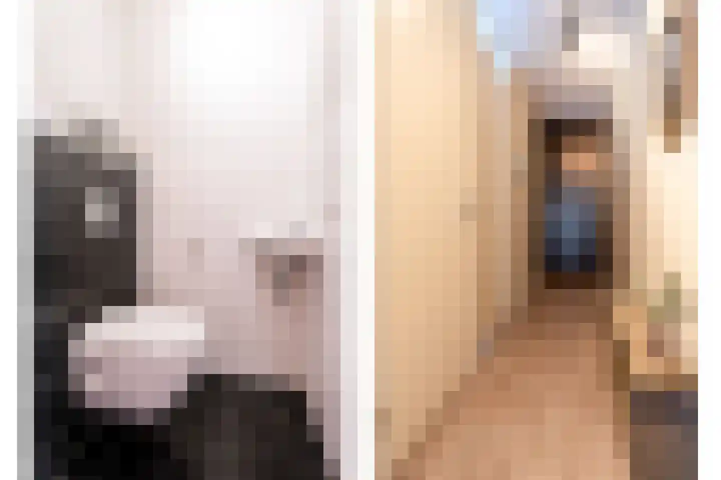 Markendaalseweg 22 B3 Breda thumbnail 14