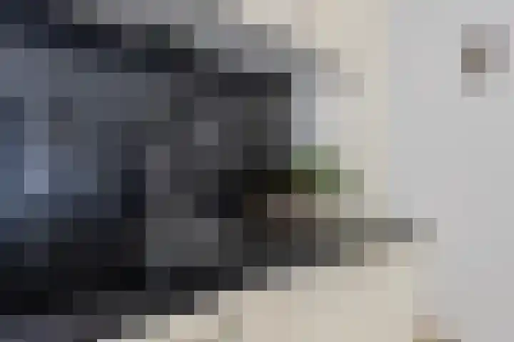 Markendaalseweg 22 B5 Breda thumbnail 14