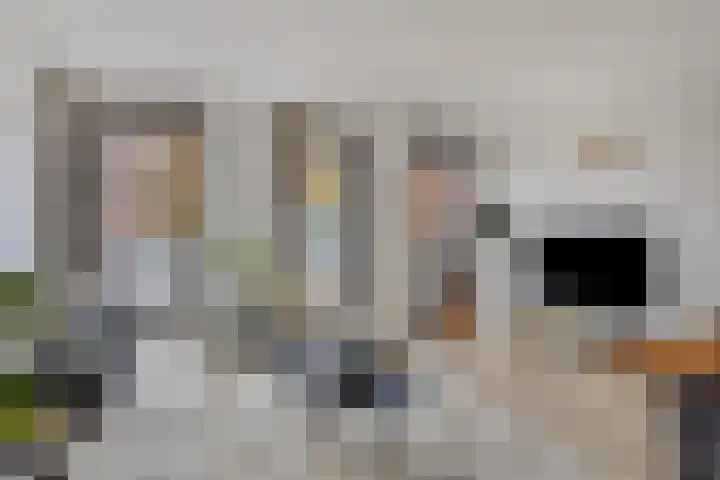 Markendaalseweg 22 B5 Breda thumbnail 19