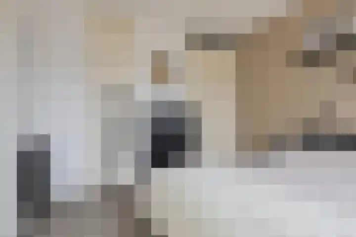 Markendaalseweg 22 B5 Breda thumbnail 23