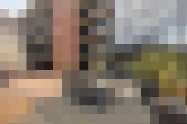 Markendaalseweg 22 B5 Breda thumbnail 27