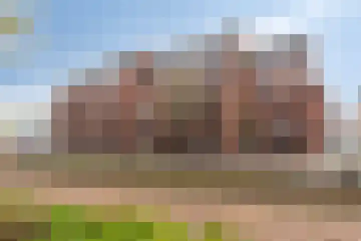 Markendaalseweg 22 B5 Breda thumbnail 31