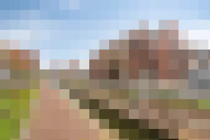 Markendaalseweg 22 B5 Breda thumbnail 6