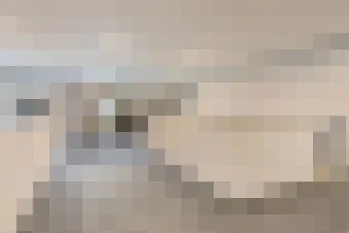 Markendaalseweg 22 B5 Breda thumbnail 9
