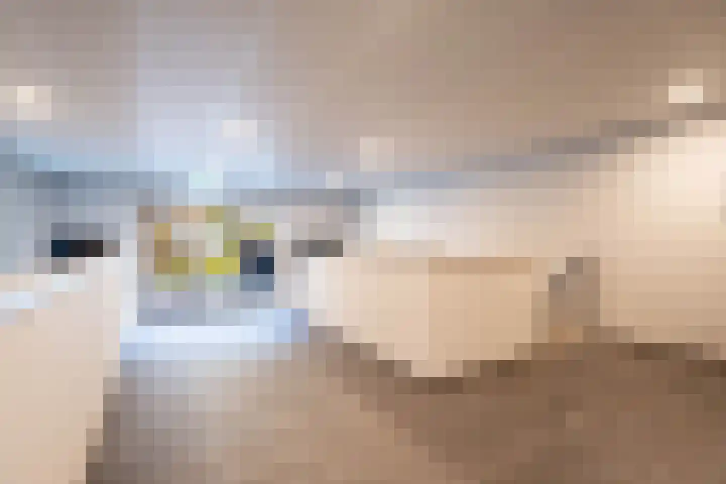 Markendaalseweg 24 C4 Breda thumbnail 23