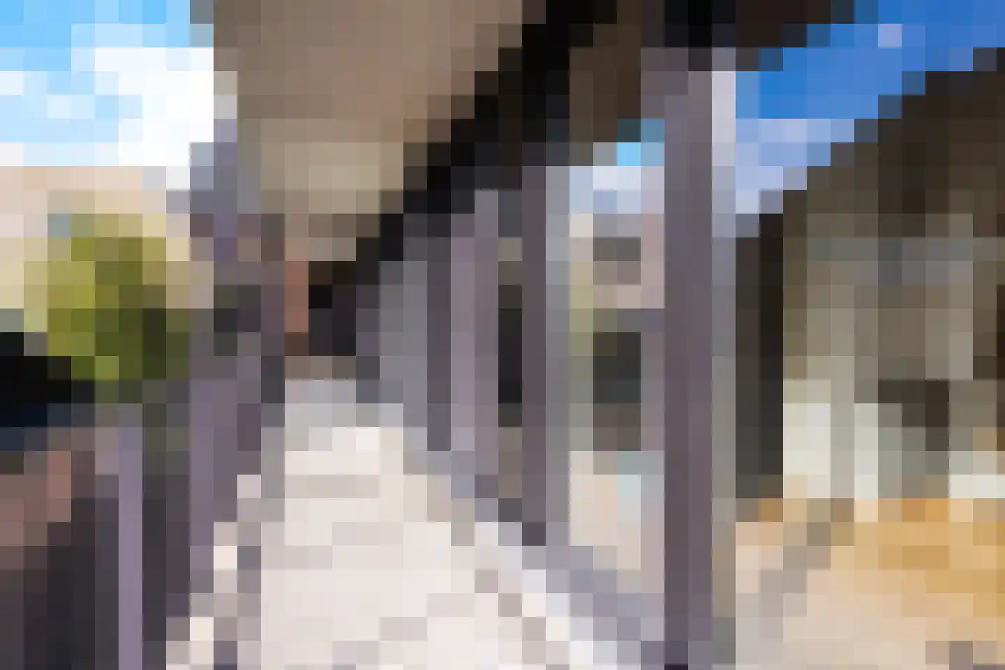 Markendaalseweg 24 C4 Breda thumbnail 6