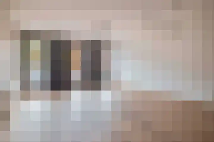 Markendaalseweg 24 C7 Breda thumbnail 10