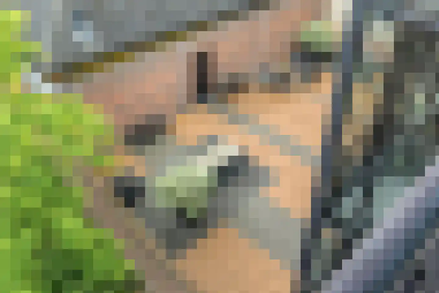 Markendaalseweg 26 D8 Breda thumbnail 47